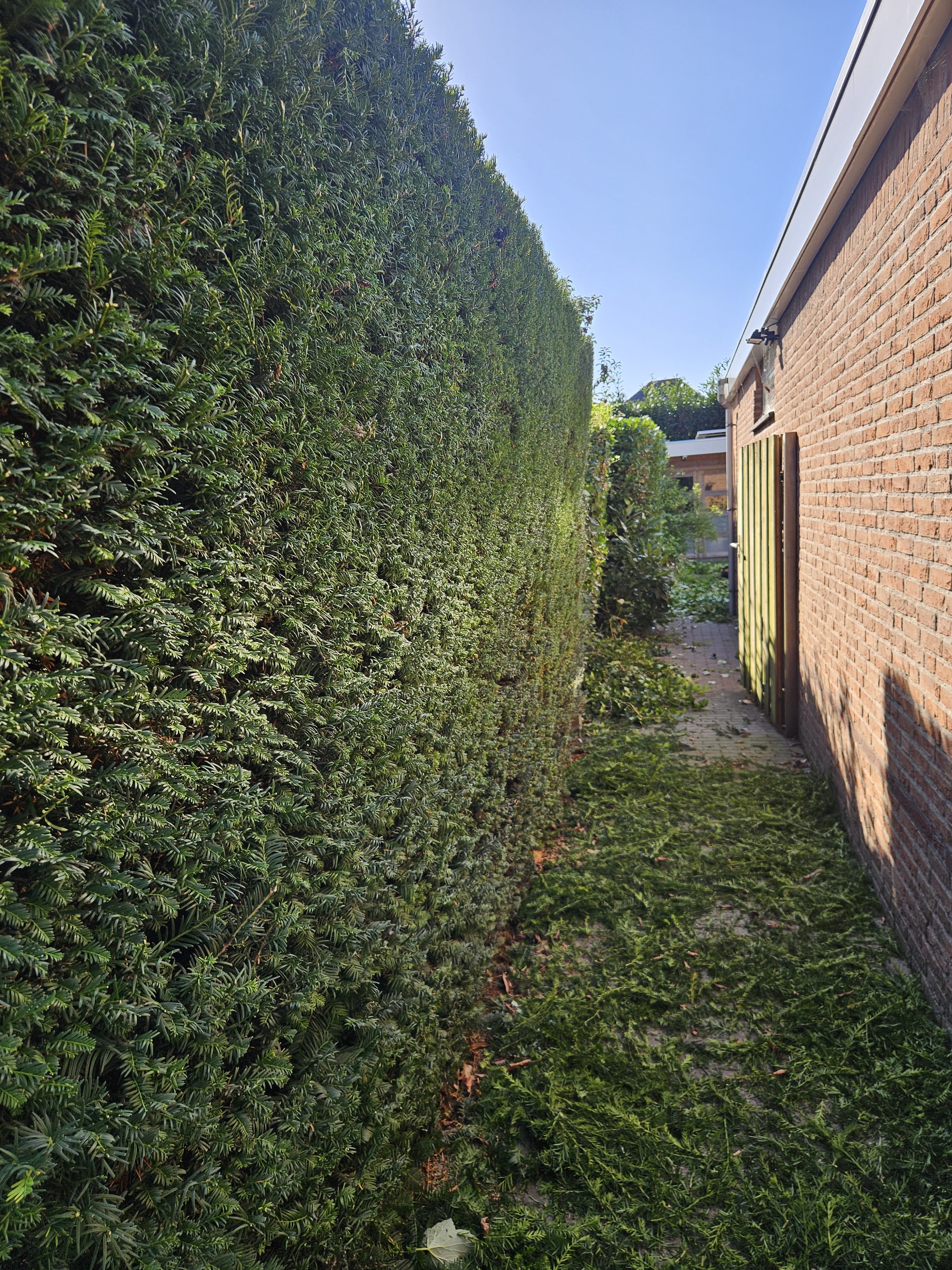 Tuin onderhoud